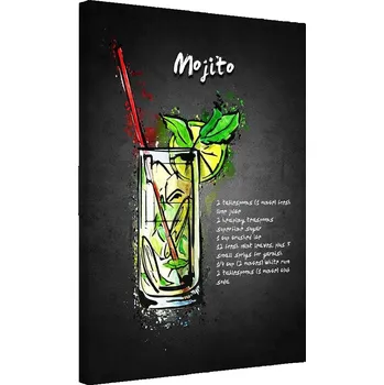 Obraz Obraz na plátně Mojito 60x90
