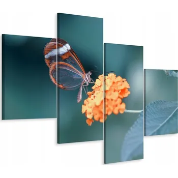 Obraz Obraz Čtyřdílný Květiny Motýl Příroda Makro 80x50
