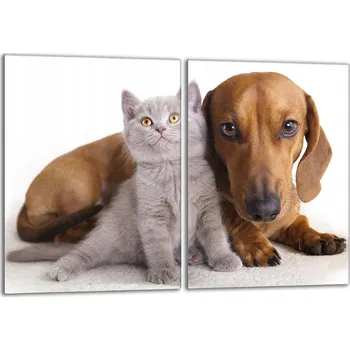 Obraz Krájecí deska TMK ArtDeko sklo 2 ks