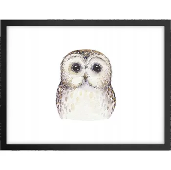 Obraz Obraz plakát v černém rámu do obýváku 40x30 sova foto plakáty na zeď