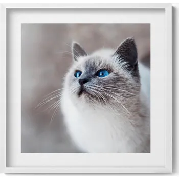 Obraz Dekorativní obraz v rámu do obýváku Klidná zimní krajina jezera 50x50 cm