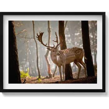 Obraz Obraz na zeď v černém rámu Jelen v záři vycházejícího slunce 80x60 cm