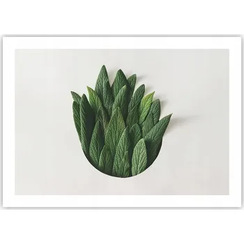 Obraz Plakát bez rámu do obývacího pokoje ložnice 70x50 šalvěj moderní módní obraz