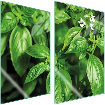 Obraz Krájecí deska TMK ArtDeko sklo 2 ks