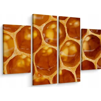 Obraz Obraz Čtyřdílný (Tetraptych) Medová Plástev PŘÍRODA 3D 200x150