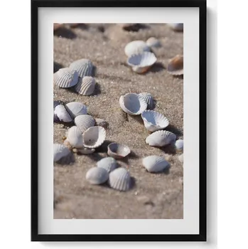 Obraz Dekorace, obraz s grafikou v krásném černém rámu Mušle na pláži 50x70 cm