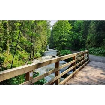 Obraz Diamantová mozaika Les dřevěný most nad