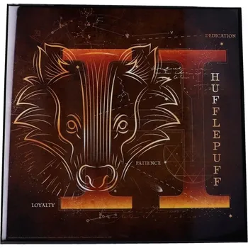 Obraz Fotografie Harry Potter 32 x 32 cm