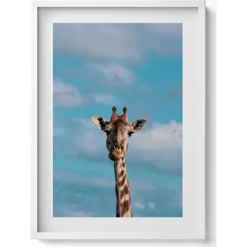 Obraz Obraz s bílým rámem a grafikou na zeď Hlava žirafy na pozadí nebe 50x70 cm