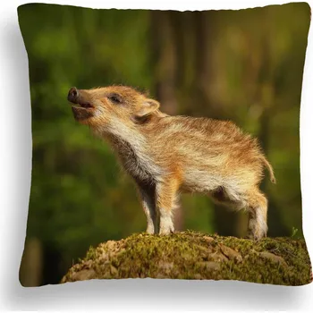 Polštář POLŠTÁŘ LITTLE WILD POLŠTÁŘ PL ZW 10, 50x50