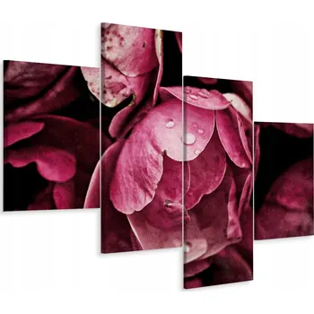 Obraz Čtyřdílný obraz PIVOŇKY Květiny Příroda 3D 80x50