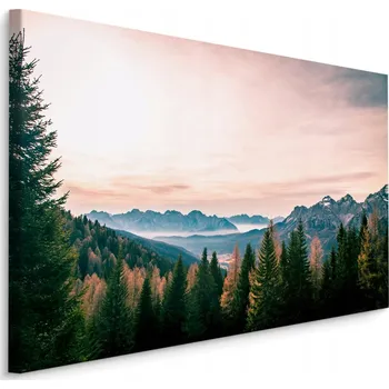 Obraz Obraz do chodby Hory v mlze ALPY Les 3D 30x20