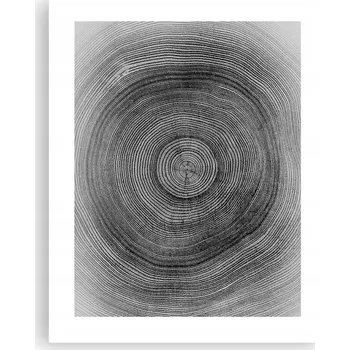 Obraz Obraz plakát na zeď bez rámu 40x50 strom plakáty do obývacího pokoje ložnice