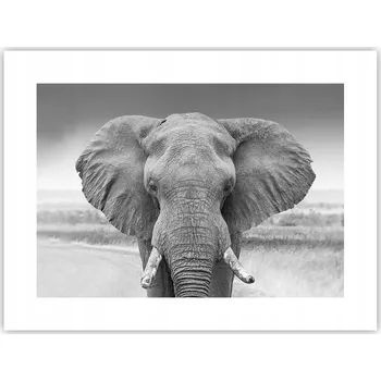 Obraz Obraz plakát do obýváku ložnice 40x30 slunce foto plakáty na zeď bez rámu