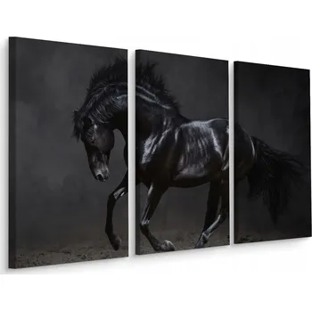 Obraz Obraz Triptych Černý Cvalající KŮŇ Příroda 60x40