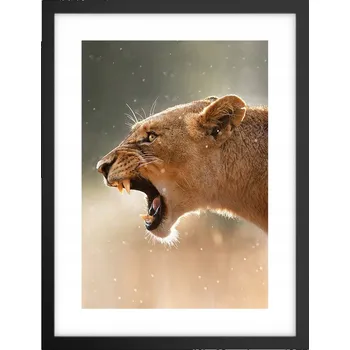 Obraz Obraz plakát v černém rámu do obýváku 30x40 zvířata plakáty na zeď