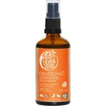 Tierra Verde Osvěžovač vzduchu – BIO Pomeranč 100 ml