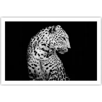 Obraz Obraz plakát do obýváku ložnice 91x61 zvířata foto na zeď bez rámu