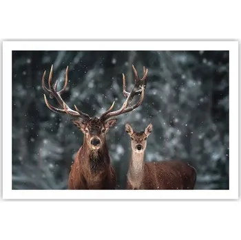 Obraz Obraz plakát do obýváku ložnice 91x61 jelen fotografie plakáty na zeď bez rámu