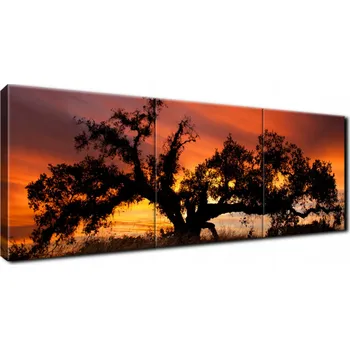 Obraz FOTO OBRAZ pokoj obývací pokoj 150x50 Dub při západu slunce