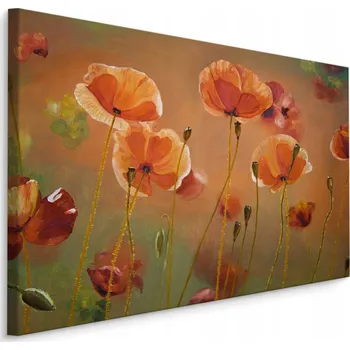 Obraz Obraz Máky jako namalované 70x50 /93549075
