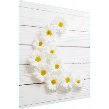 Kuchyňské prkénko Krájecí deska TMK ArtDeko sklo 1 ks