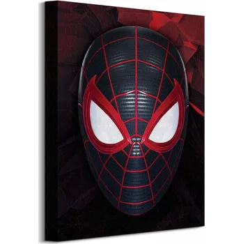 Obraz Spider-Man, Spiderman, Miles Morales 30 x 40 cm