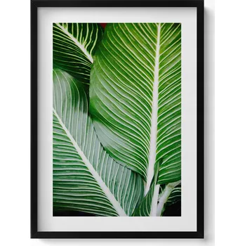 Obraz Dekorativní obraz v černém rámu do obýváku Exotické zelené listy 50x70 cm