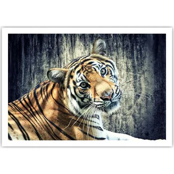 Obraz Plakát na zeď bez rámu 100x70 zvířata obraz plakáty do obývacího pokoje ložnice