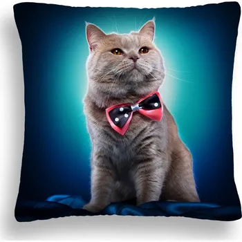 Polštář VELKÝ 50*50 POLŠTÁŘ KOČKA 39 MOTÝLEK TYRKYSOVÁ