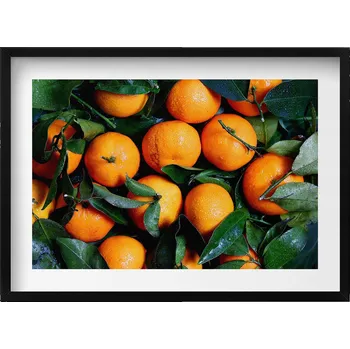 Obraz Dekorace, obraz s grafikou v krásném rámu - Zralé italské pomeranče 70x50 cm