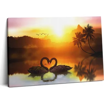 Obraz Fotoobraz Umělecká Fotografie do Kanceláře Krásná Černá Labuť Na Jezeře