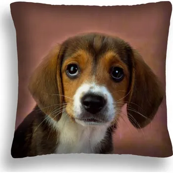 Polštář POLŠTÁŘ PES 06 JAŚ 40X40 POVLEČENÍ MILOUŠKÝ PEJSEK