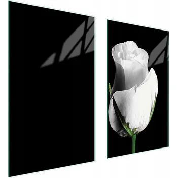 Obraz Krájecí deska TMK ArtDeko sklo 2 ks