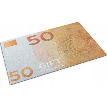 Rohožka Vstupní rohožka před dveře 150x100 Euro Peníze (Eura)