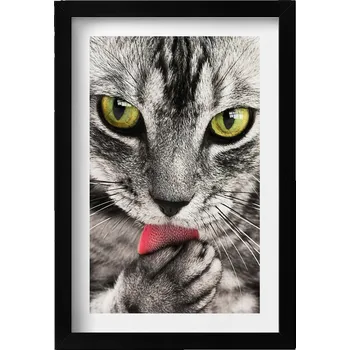 Obraz Nástěnný dekorativní obraz v rámu s grafikou Šedé kotě kočičí oči 20x30 cm