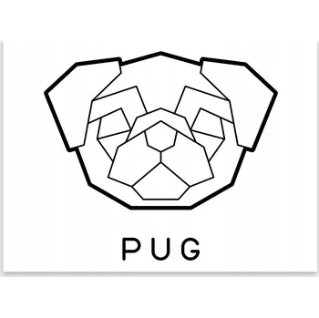 Kuchyňské prkénko Skleněná Ochranná Deska a Krájecí Prkénko | Indukce, Sporák ds-0181