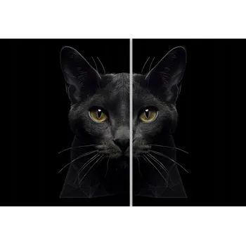 Kuchyňské prkénko Skleněná Ochranná Deska a Krájecí Prkénko | Indukce, Sporák ds-0304