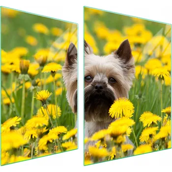 Obraz Krájecí deska TMK ArtDeko sklo 2 ks