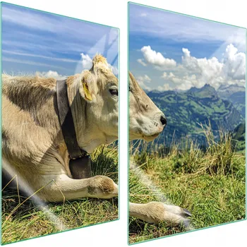 Obraz Krájecí deska TMK ArtDeko sklo 2 ks