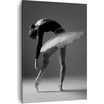 Obraz Obraz na plátně do obývacího pokoje ložnice 50x70 baletka obrazy na zeď canvas