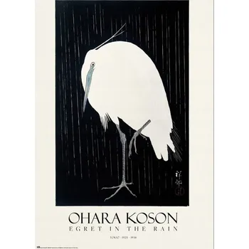 Obraz Plakát zvířata 61 x 91,5 cm