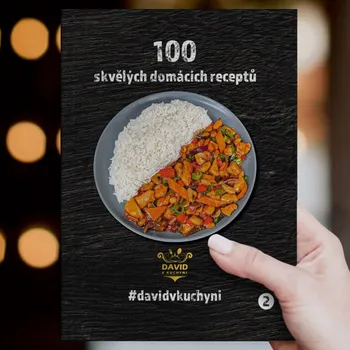 David v kuchyni - 1. díl kuchařky "100 skvělých domácích receptů" David Vonášek