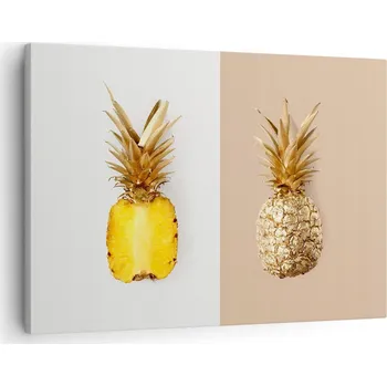 Obraz Obraz na plátně do obývacího pokoje ložnice 70x50 ananas foto obrazy na zeď
