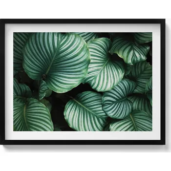 Obraz Závěsný obraz na zeď dekorace do bytu Velké zelené listy 80x60 cm