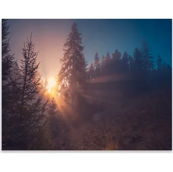 Kuchyňské prkénko Skleněná Ochranná Deska a Krájecí Prkénko | Indukce, Sporák ds-0165