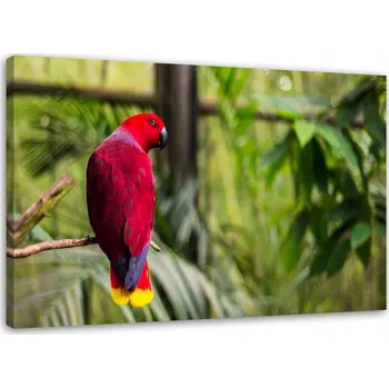 Obraz Obraz na plátně - Canvas, rajský papoušek 60x40