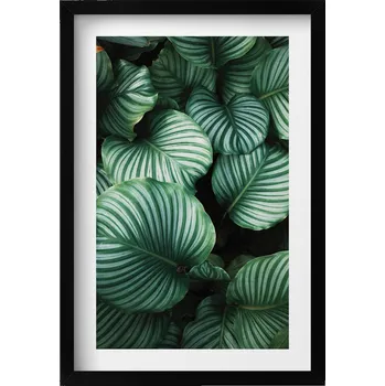 Obraz Dekorativní obraz na zeď do obýváku, kuchyně - Velké zelené listy 40x60 cm