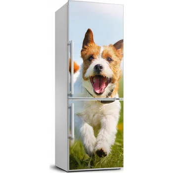 Fototapeta Foto Samolepka na ledničku Pes Jack Russell 70x190