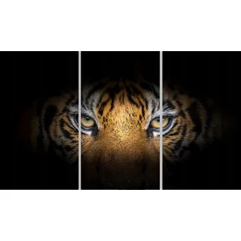 Obraz Skleněná Ochranná Deska a Krájecí Prkénko | Indukce, Sporák ds-0535